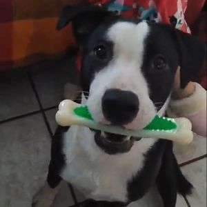 Meet your Posher, Christy